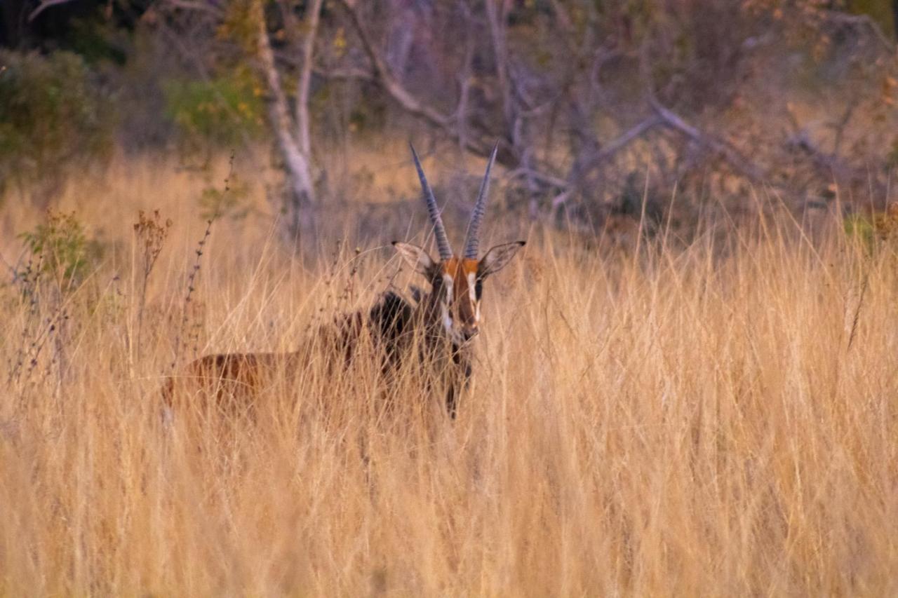 Fumani Game Lodge Модимоле Екстериор снимка
