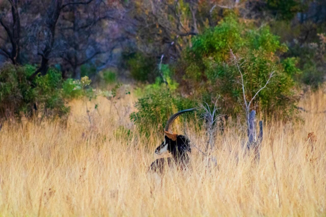 Fumani Game Lodge Модимоле Екстериор снимка